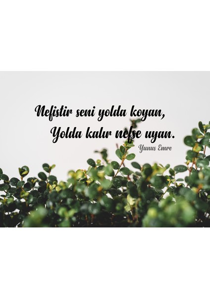 Nefis 30X40 Kanvas Tablo fiyatları