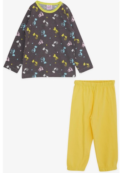 Kız Çocuk Pijama Takımı Renkli Kedicikler Desenli 1-4 Yaş, Kahverengi