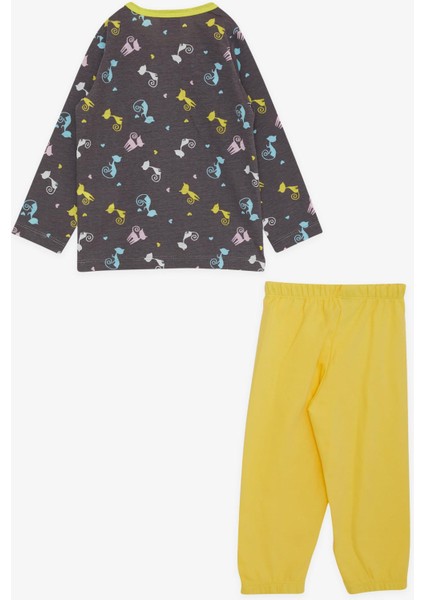 Kız Çocuk Pijama Takımı Renkli Kedicikler Desenli 1-4 Yaş, Kahverengi