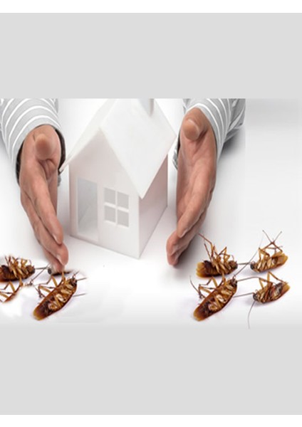 Goliath 35GR Hamamböceği Jel Yem modelleri