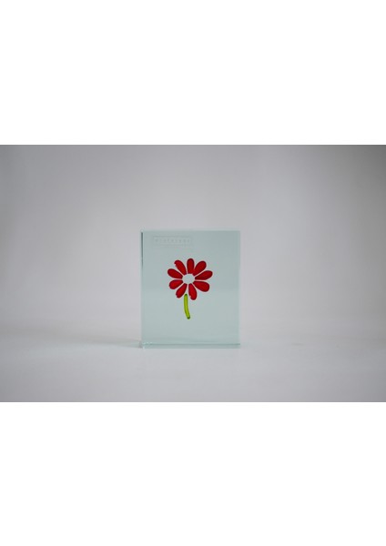 Dekoratif Obje-Cam fiyatları