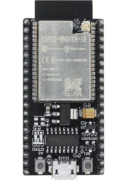 Esp-Wrover-Ie Wifi Geliştirme Kartı Esp-Wrover-Ie Çekirdek Kart Wifi +Bluetooth Uyumlu Seri Bağlantı Noktası Modülü (Yurt Dışından)