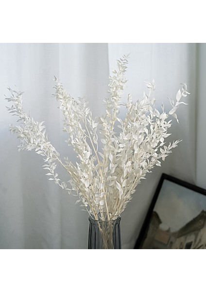 45 cm Kurutulmuş Sonsuza Kadar Korunmuş Ruscus Çiçekler Dıy Çiçek Dekorasyon Kuru Çiçek Buketi Düğün Ev Dekor Için (Yurt Dışından)