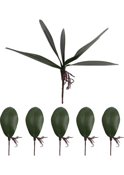 Phalaenopsis Orkide Yaprakları Yapay Gerçek Görünümlü Lateks Kontak Bitkiler Yeşil Sahte Yaprak Aranjmanı, 6 Adet (Yurt Dışından)