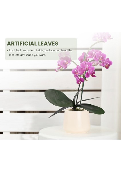 Phalaenopsis Orkide Yaprakları Yapay Gerçek Görünümlü Lateks Kontak Bitkiler Yeşil Sahte Yaprak Aranjmanı, 6 Adet (Yurt Dışından)