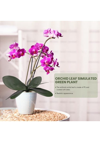 Phalaenopsis Orkide Yaprakları Yapay Gerçek Görünümlü Lateks Kontak Bitkiler Yeşil Sahte Yaprak Aranjmanı, 6 Adet (Yurt Dışından)