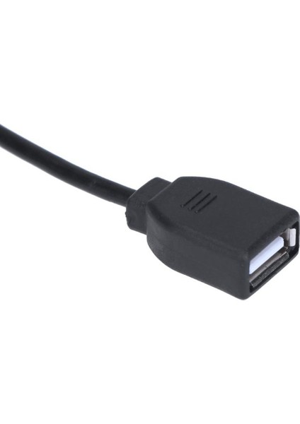 Mini Pcı-E Pcı Express - Çift USB Adaptörü Mpcıe - 5 Pin 2 Bağlantı Noktalı Usb2.0 Dönüştürücü, Tam/yarım Yükseklik Mini Kart Için (Yurt Dışından)