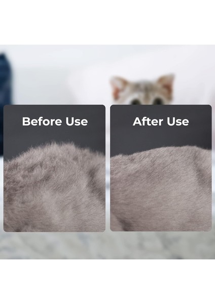 Masaj Yeşili Için Kedi Tarağı (Yurt Dışından) fırsatları