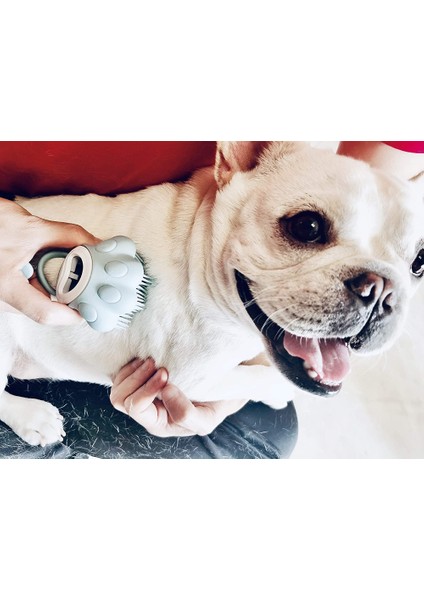 Köpek Banyo Fırçası Masaj Yıkama Için Pet Şampuan Fırçası (Mavi) (Yurt Dışından) fırsatları