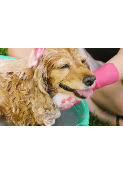 Evcil Hayvan Eldivenleri Kedi ve Köpek Saç Masajı Su Geçirmez Banyo Silikon Eldiven Temizlik Malzemeleri (Pembe) (Yurt Dışından) fırsatları