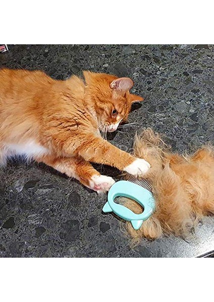 Orijinal Pet Epilasyon Masaj Kabuk Tarak Yumuşak Dökülme Fırçası Bakım ve Dökülme Keçeleşmiş Kürk Sökücü Uzun ve Kısa Için Pas Alma Aracı (Yurt Dışından) modelleri