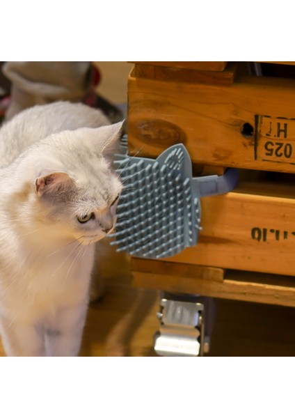 Cat Pet Kendini Bakım Tarak Fırçası - Yavru Kediler ve Köpek Yavruları Için Çok Amaçlı Kedi Masaj Eldiveni Aracı. Kolay Epilasyon Için Silikon Iğne (Küçük Mavi) (Yurt Dışından) fırsatları