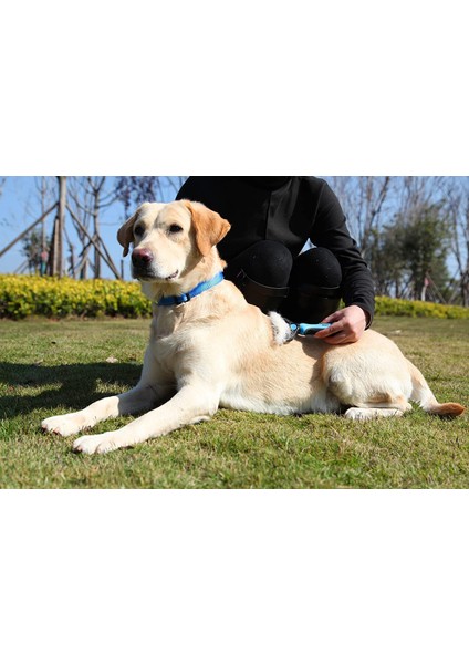 Bakım Fırçası - Köpekler ve Kediler Için Çift Taraflı Dökülme ve Pas Alma Astar Tırmık Tarağı, Ekstra Geniş (Yurt Dışından) fiyatları