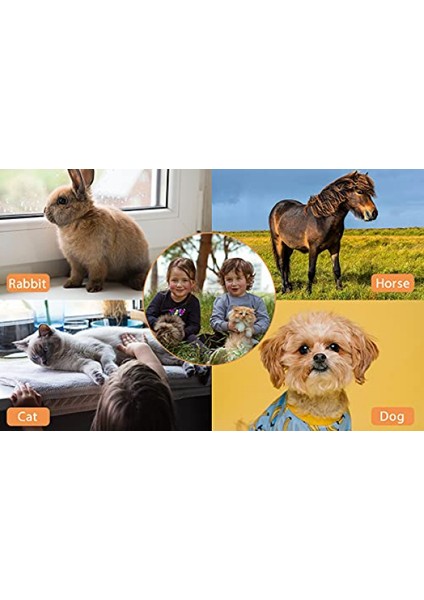 Köpek Metal Tarak 7.5 Inç Köpekler Dematting Aracı Pet Bakım Tarağı Paslanmaz Çelik Dişler Kediler Köpek Saç Çıkarma Tarak (S: 19X3 Cm) (Yurt Dışından)