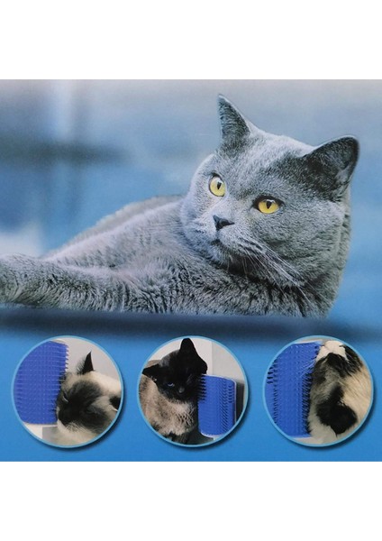 2 Paket Daha Yumuşak Kedi Köşesi Kişisel Bakım Kedi Nipiyle Duvar Köşe Masaj Tarak Köşe Scratcher Evcil Hayvan Bakım Fırçası Tarak Bakım Duvar Fırçası Kendi Kendine Masaj (Yurt Dışından) fırsatları