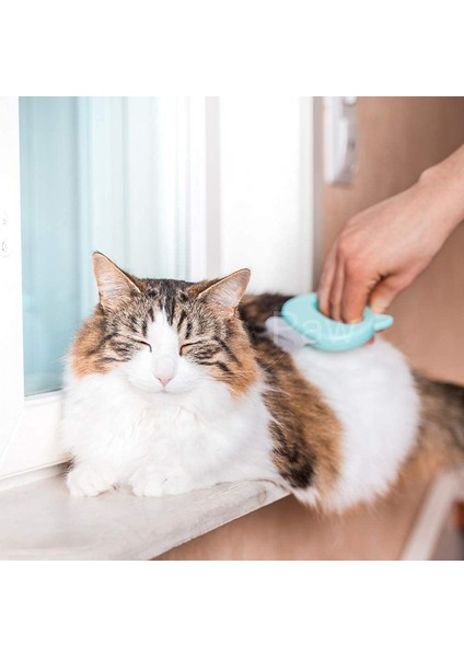 Orijinal Pet Epilasyon Masaj Kabuk Tarak Yumuşak Dökülme Fırçası Bakım ve Dökülme Keçeleşmiş Kürk Sökücü Pas Alma Aracı, (3'lü Paket Paketi) (Yurt Dışından) fiyatları