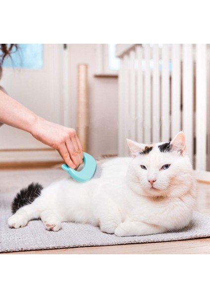 Orijinal Pet Epilasyon Masaj Kabuk Tarak Yumuşak Dökülme Fırçası Bakım ve Dökülme Keçeleşmiş Kürk Sökücü Pas Alma Aracı, (3'lü Paket Paketi) (Yurt Dışından) modelleri