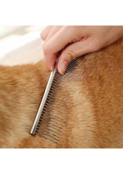 2'si 1 Arada Köpek Tarakları, Pire Tarağı, Çelik Dişli ve Bit Tarağı ile Metal Kedi Tarağı, Uzun ve Kısa Tüylü Köpek Için Profesyonel Bakım Aleti, Kedi (Yurt Dışından) modelleri