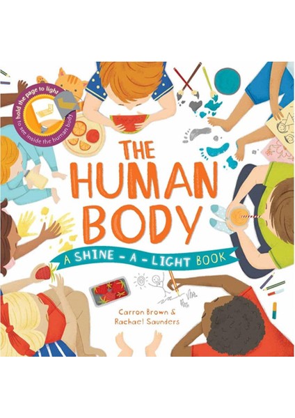 The Shine A Light - Human Body