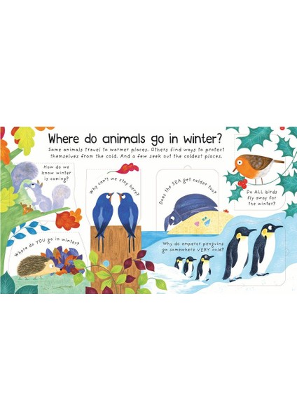 Where Do Animals Go in Winter - Katie Daynes