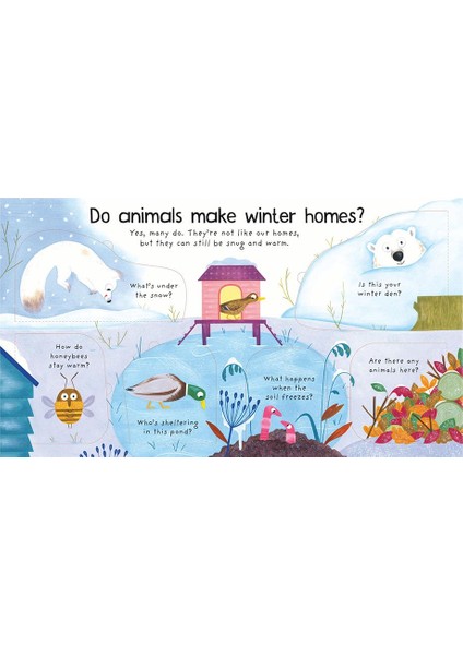 Where Do Animals Go in Winter - Katie Daynes