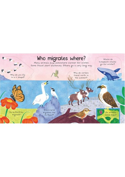 Where Do Animals Go in Winter - Katie Daynes