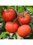 Geleneksel Bostan Domatesi Tohumu Homestead Tomato Heirloom 2