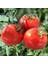 Geleneksel Bostan Domatesi Tohumu Homestead Tomato Heirloom 5