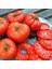 Brandywine Domates Tohumu Atalık Heirloom Brandywine Red Tomato Seeds 5