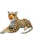 Leopar Peluş Dev Boy 60 cm 1