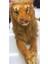 Peluş Aslan Oyuncak 40 cm 1