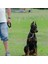 1 Adet Evcil Köpek Tasması-Bir Sürükle ve Bir Tasma (Yurt Dışından) 2