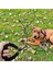 1 Adet Köpek TASMASI-8MM20M Siyah (Yurt Dışından) 2