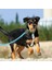 Adet Elastik Saplı Köpek Tasması-Gök Mavisi (Yurt Dışından) 4