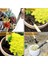 [sıcak] 14 Parça Mini Bonsai Aletleri Bahçe Alet Seti Kaktüs Sulu Meyveler Bitkileri Dikim (Yurt Dışından) 2
