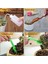 [sıcak] 14 Parça Mini Bonsai Aletleri Bahçe Alet Seti Kaktüs Sulu Meyveler Bitkileri Dikim (Yurt Dışından) 3