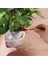 [sıcak] 14 Parça Mini Bonsai Aletleri Bahçe Alet Seti Kaktüs Sulu Meyveler Bitkileri Dikim (Yurt Dışından) 5