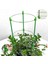 Bahçe Balkon Bitkisi Çiçek Kafes-6 x Bitki Saksı Destek Çerçevesi-Yeşil (Yurt Dışından) 4