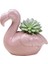 Etli Bitki Ardening Için Seramik Saksı Karikatür Flamingo Şekli Dekor (Yurt Dışından) 2