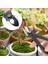 Bonsai Şube Kesici Meyve Ağacı Saksı Peyzaj Modelleme Aracı Bahçe Makası Makas (Yurt Dışından) 2