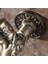 Antik Bronz Bibcock Bahçe Duvara Monte Dekoratif Musluk Ev Kullanımı Küçük Tek Delik Açık Su Musluk Çinko Alaşımı (Yurt Dışından) 4