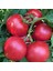 Karaorman Domates Tohumu Geleneksel Eva Purple Ball Tomato 1