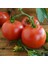 Karaorman Domates Tohumu Geleneksel Eva Purple Ball Tomato 4