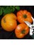 Amana Turuncu Domates Tohumu Turuncu Renkli Amana Orange Tomato Seeds 1