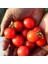 Kiraz Salkım Domates Tohumu Geleneksel Sweetie Tomato 4