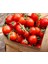 Kiraz Salkım Domates Tohumu Geleneksel Sweetie Tomato 5