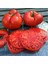 Dev Ponderosa Kırmızı Domates Tohumu Ince Kabuklu Ponderosa Red Beefsteak Heirloom Tomato 4