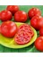 Florida Domates Tohumu Geleneksel Floridade Tomato 3