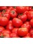 Florida Domates Tohumu Geleneksel Floridade Tomato 5