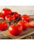 Manitoba Domates Tohumu Saksılık Iri Boy Geleneksel Manitoba Tomato 1